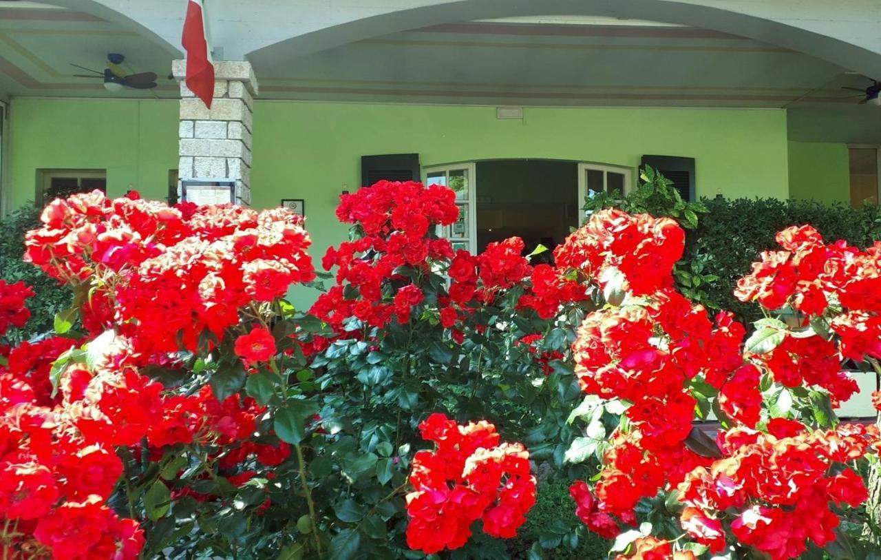 Albergo La Quiete เดเซนซาโนเดลการ์ดา ภายนอก รูปภาพ