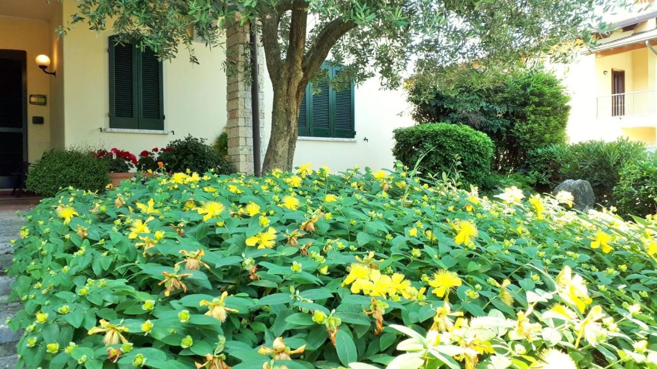 Albergo La Quiete เดเซนซาโนเดลการ์ดา ภายนอก รูปภาพ